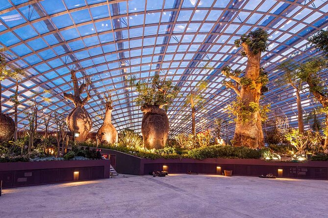 Gardens by the Bay with 2 Flower Dome + Marina Bay Sands Skypark - Small Group Pace: Up to 12, With Real-World Flexibility