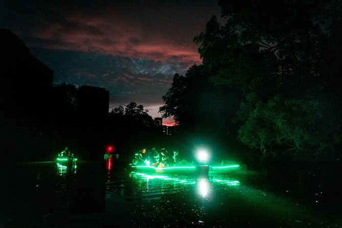 Glow Kayak Night Adventure in the Mangroves - Glow Kayaks in Singapore: Why the Night Lighting Works So Well