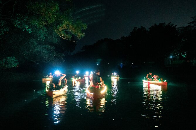 Glow Kayak Night Adventure in the Mangroves - Time on the Water: Planning Around the 2 Hours 15 Minutes