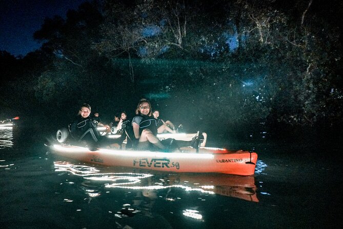 Glow Kayak Night Adventure in the Mangroves - Price and Value: Is $56.35 a Good Deal?