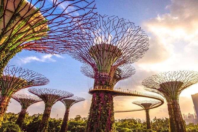Half Day Private Guided Tour through Singapore's Iconic Landmarks - Chinatown: old medicinal halls, modern cafes, and a heritage-center look