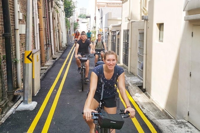 Historical Singapore Bike Tour on Full-Sized Bicycles - City Hall and WWII Remembrance: History Meets Civic Singapore