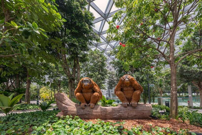 Jewel Changi Airport: Sky Nets Admission Ticket - Bouncing Net: Trampoline Jumps Up to Level 5