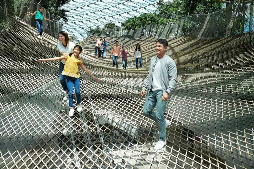 Jewel Changi Airport: Sky Nets Admission Ticket - Canopy Park After Your Net Session: Mist, Slides, Gardens