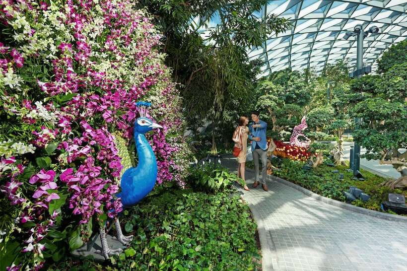 Jewel Changi Airport: Sky Nets Admission Ticket - Price and Value: Is $12 Worth It?