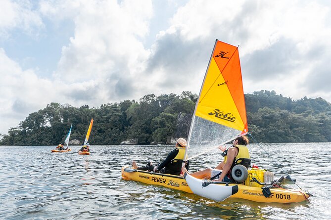 Kayak Sailing in Singapore, Mangrove, Kelong & Pulau Ubin, Seafood Meal Included - The Kelong Seafood Lunch: What You Eat and Why It’s Part of the Day