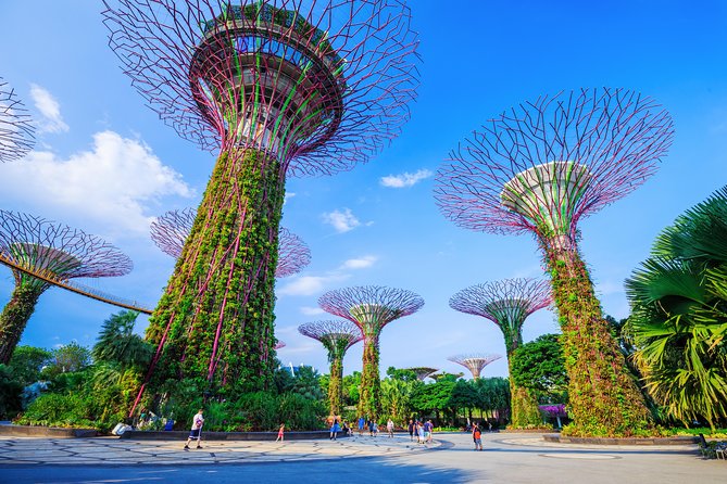 Kickstart Your Trip To Singapore With A Local: Private & Personalized - How the pre-trip questionnaire turns the day into your day