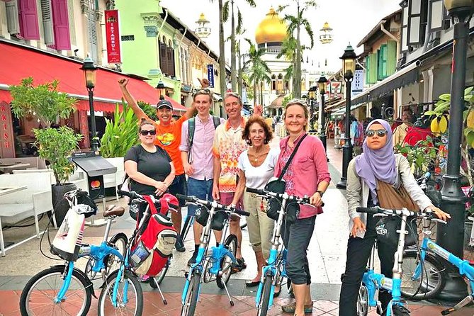 Lion City Bike Tour of Singapore - What to look for at each vibe zone (so you don’t just pass by)