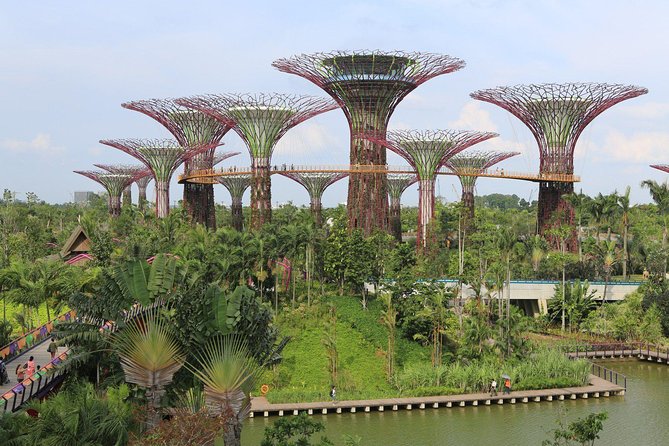 Lion City Night Out + Roundtrip Transfers - Key things that make this Singapore night out work