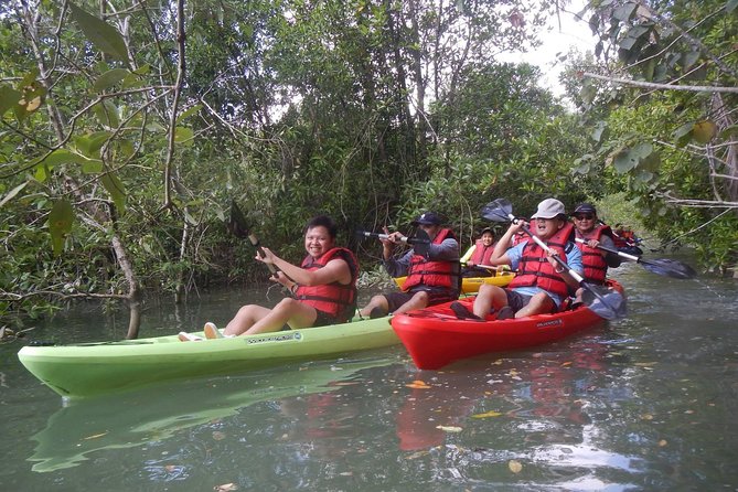 Mangrove Kayaking Adventure in Singapore - What Happens Before You Paddle (Meeting, Gear, and Getting Ready)