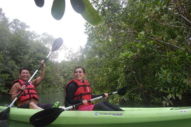 Mangrove Kayaking Adventure in Singapore - Mangrove Paddling: The Quiet Section That Makes People Smile