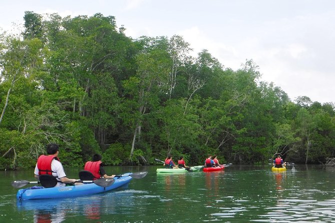 Mangrove Kayaking Adventure in Singapore - Your Guide and How Instruction Keeps It Beginner-Friendly