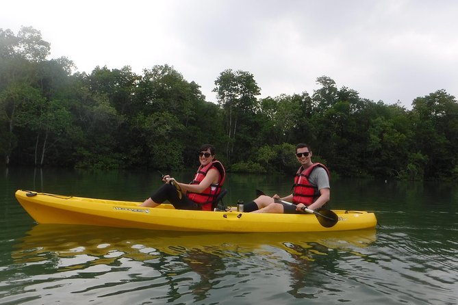 Mangrove Kayaking Adventure in Singapore - Wildlife Spotting: What to Look For (and How to Not Miss It)