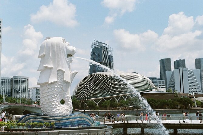 MBCC & HFCC - Cruise Terminal to City Hotel Transfer - From MBCC or HarbourFront to Your Hotel: what this transfer really does