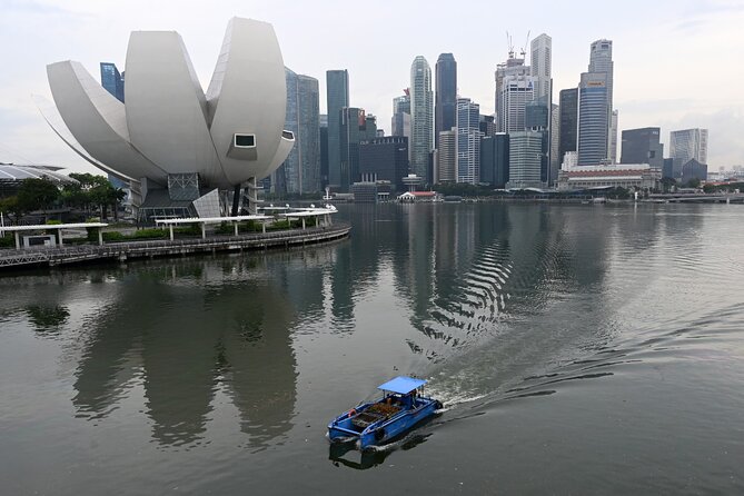 MBCC & HFCC - Cruise Terminal to City Hotel Transfer - Private ride logistics: vehicles, timing, and who this fits
