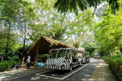 Morning at the Zoo with 1-way Transfer (Free & Easy) - Breakfast with wildlife: orangutans, food, and the reality check