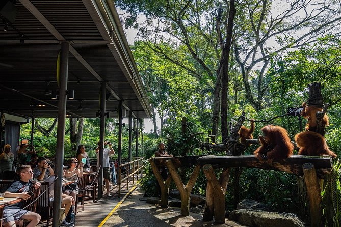 Morning at the Zoo with 1-way Transfer (Free & Easy) - Choosing where to spend your limited time at the zoo