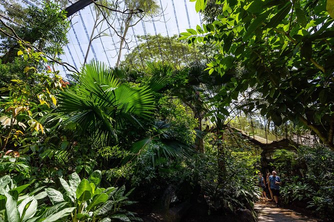 Morning at the Zoo with 1-way Transfer (Free & Easy) - Price and value: is $87.07 a smart use of your morning?