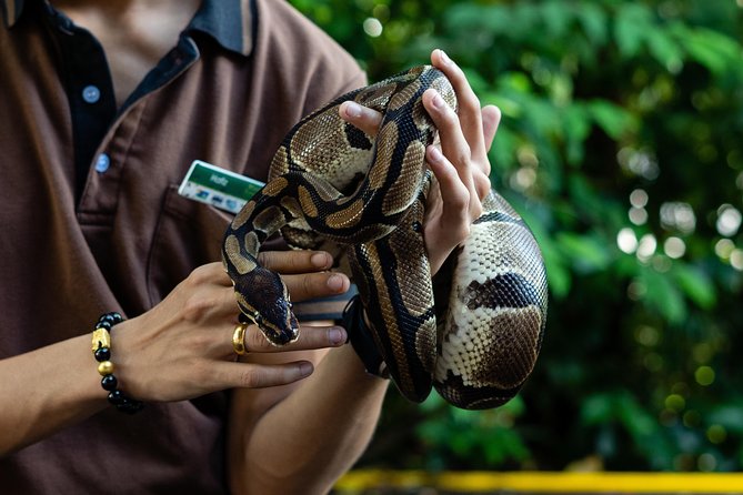 Morning at the Zoo with 1-way Transfer (Free & Easy) - A practical mini-packing list for an early Mandai start