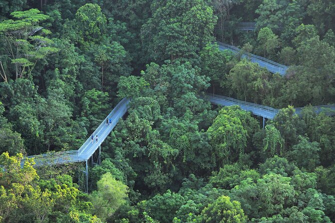 Mount Faber, Henderson Waves and Southern Ridges Tour - Henderson Waves: the wave bridge and the 36-meter drop