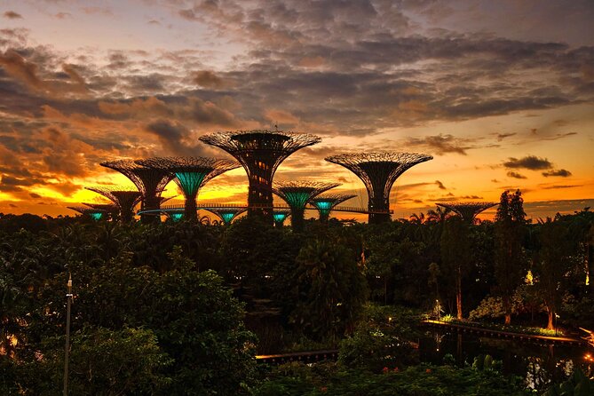 Night out with 6 Food Tastings, Spectra & Garden Rhapsody Shows - Helix Bridge and the floating Apple Store: Marina Bay’s surreal walkway moments
