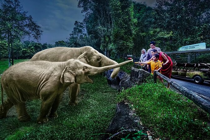 Night Safari Singapore Skip the Line Tickets with Tram Ride - Key highlights to know before you buy