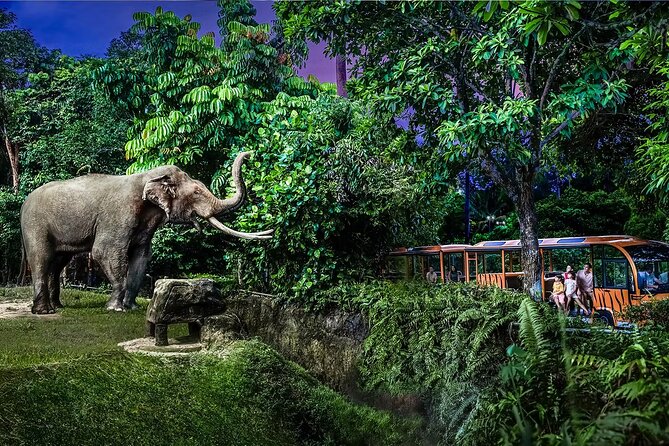 Night Safari Singapore Skip the Line Tickets with Tram Ride - How long it takes: planning your 1 to 4 hour night