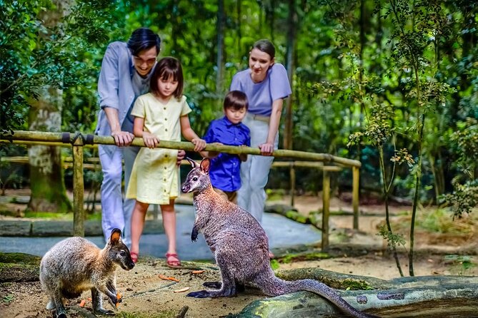 Night Safari Singapore Skip the Line Tickets with Tram Ride - A heads-up about the skip-the-Q ticket confusion
