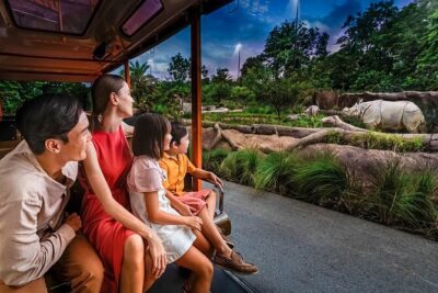 Night Safari Tickets with Tram Ride - The evening flow: what happens once you step into Night Safari
