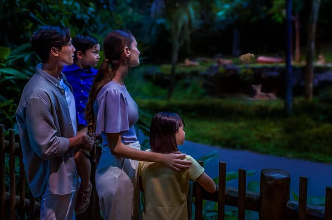 Night Safari Tickets with Tram Ride - After the tram: trails and viewing areas that reward patience