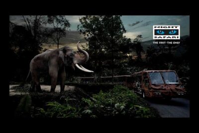Night Safari Tour with Transfer - Transfers and meeting point: how the “with transfer” part helps