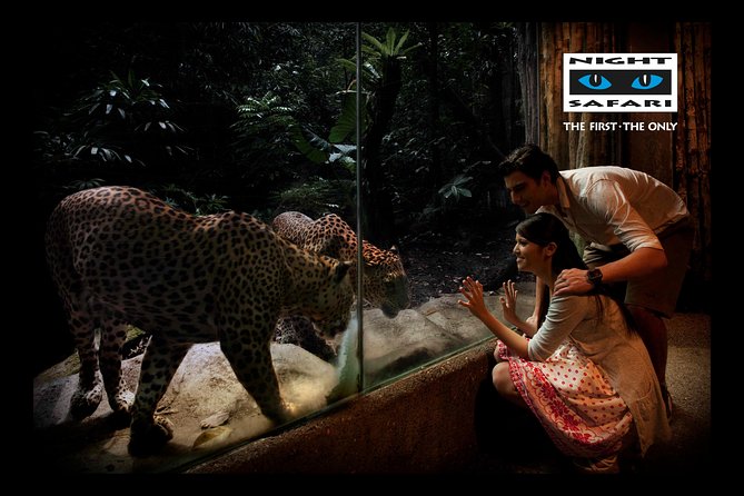 Night Safari Tour with Transfer - The included shows: Creatures of the Night vs Thumbuakar Performance