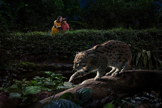 Night Safari with Buffet Dinner with hotel pick-up - Entering the Night Safari: what the tram-and-trails route really delivers