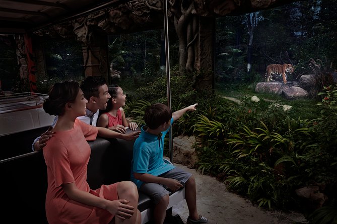 Night Safari with Buffet Dinner with hotel pick-up - The international buffet dinner: what’s included, what’s not, and how to fit it in