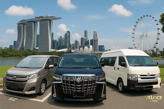 Private Airport Transfers in Singapore - Child safety seats: available, but you must pre-arrange