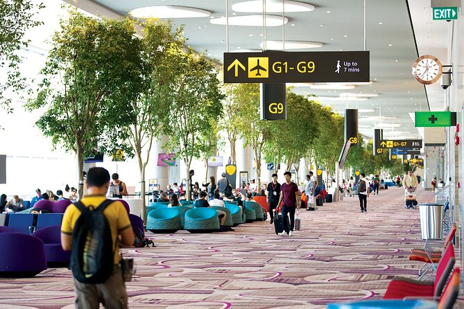 Private Arrival Transfer From Singapore Airport or Port to Hotel - Waiting time and late arrivals: where you can lose value