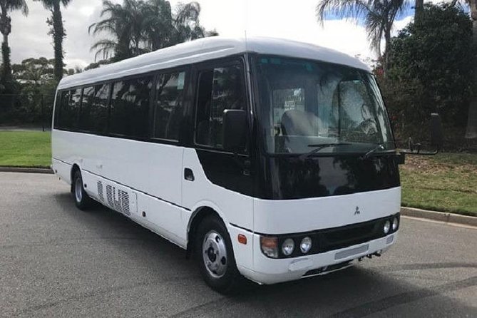 Private Arrival Transfer From Singapore Airport or Port to Hotel - The private vehicle: comfort for Singapore’s traffic reality