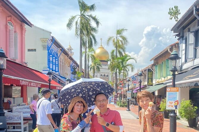 Private City Car Tour Singapore (4 Hours or 8 Hours) - Key highlights that matter