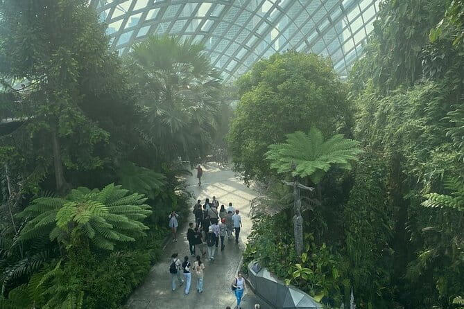 Private City Car Tour Singapore (4 Hours or 8 Hours) - How the private car format beats Singapore heat and planning stress
