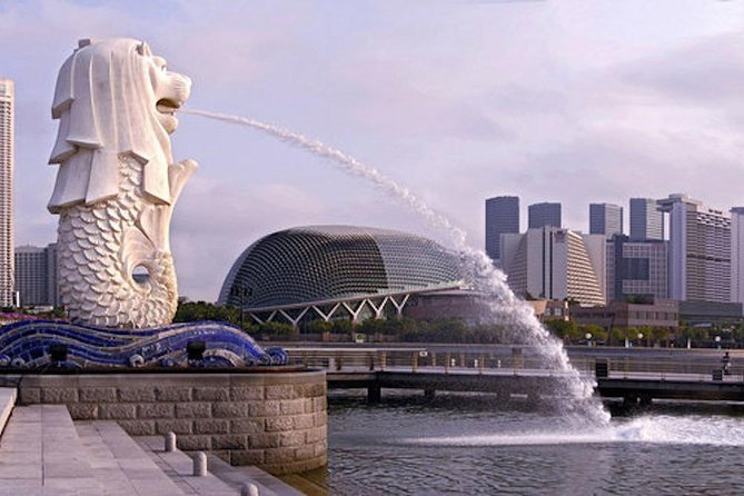 Private Customised Singapore Airport Layover Tour By Car - Sky views vs. garden attractions: deciding what to pay for