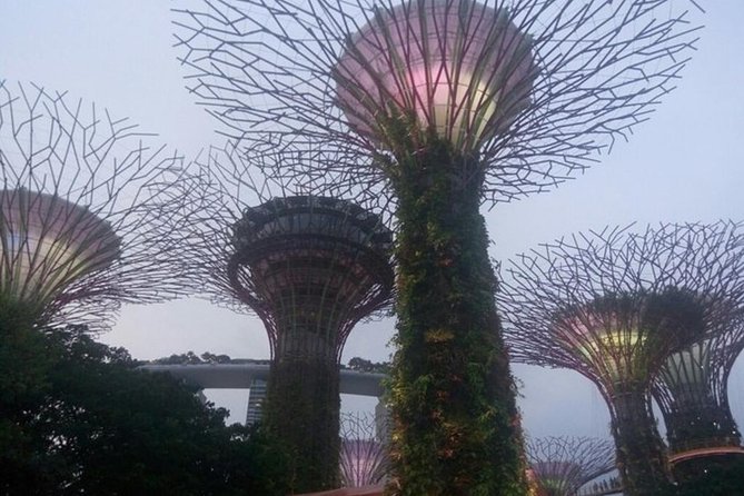 Private Full Day Singapore Highlights Tour - Price and what you actually get for $407