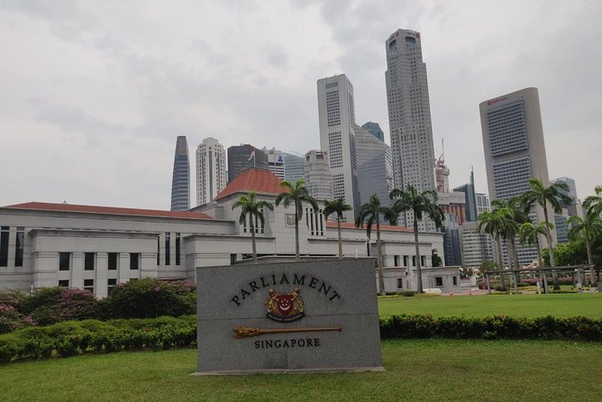 Private Half Day Singapore City Tour with Botanical Orchid Garden - Chinatown in one focused hour: culture plus navigation tips