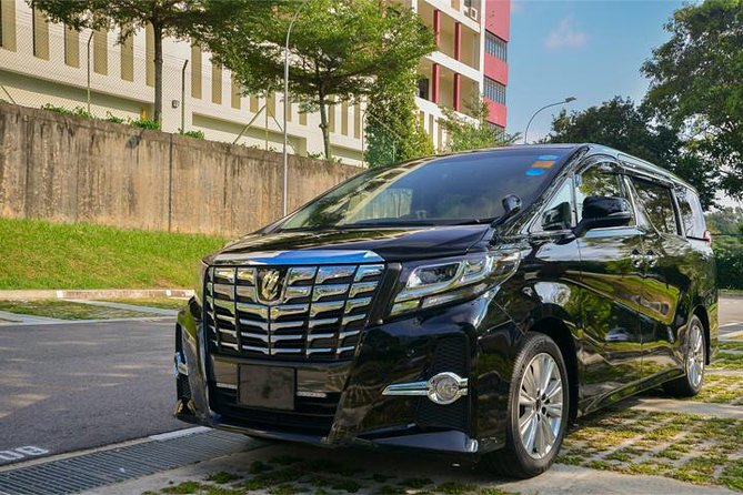 Private Mini Van From Singapore Airport To Hotel In City - Business mini van comfort for up to four people