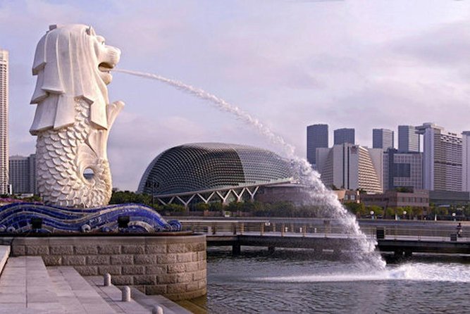 Private Singapore Airport Layover Walking Tour - Marina Bay Starters: National Gallery, Merlion Park, Esplanade, and Fullerton