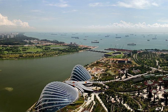 Private Singapore Customized Tour With Driver in small group - China Square to Buddha Tooth Relic Temple: Culture and Contrast