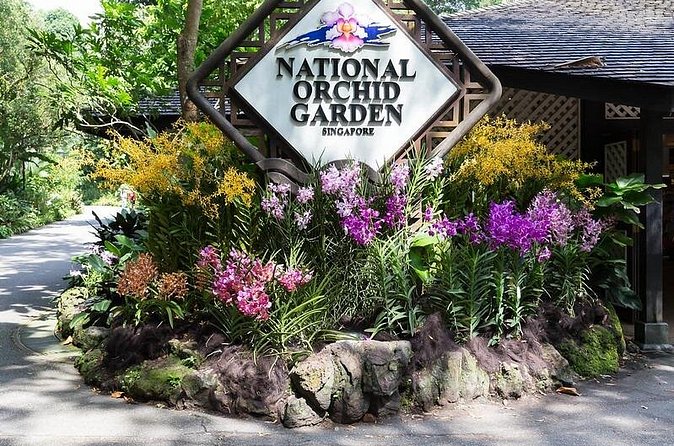 Private Singapore Full Day Highlights Tour with River Cruise Ride - National Orchid Garden: one hour, 1000 types of plants