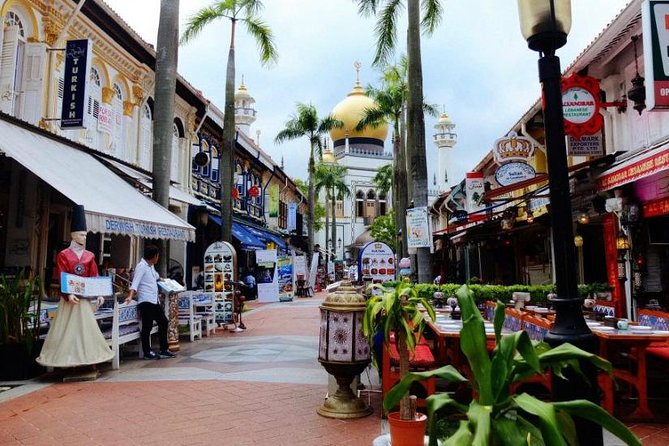 Private Singapore Full Day Round Island Tour with River Cruise - The Private Pace: What You Actually Get for $240