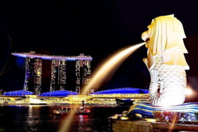 Private Singapore Night City Tour with Driver - The 5-Hour Plan: River, Temples, Markets, and Two Big Shows