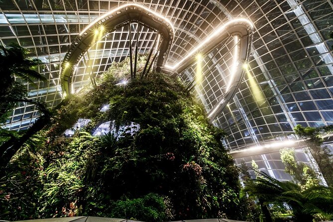 Private Singapore Night Tour with Gardens by the Bay&River Cruise - Key things that make this tour work so well