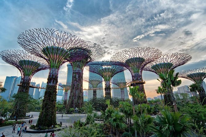 Private Singapore Night Tour with Gardens by the Bay&River Cruise - A 6:00 pm start that turns Singapore into a nighttime set